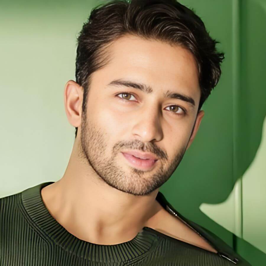 Shaheer Sheikh